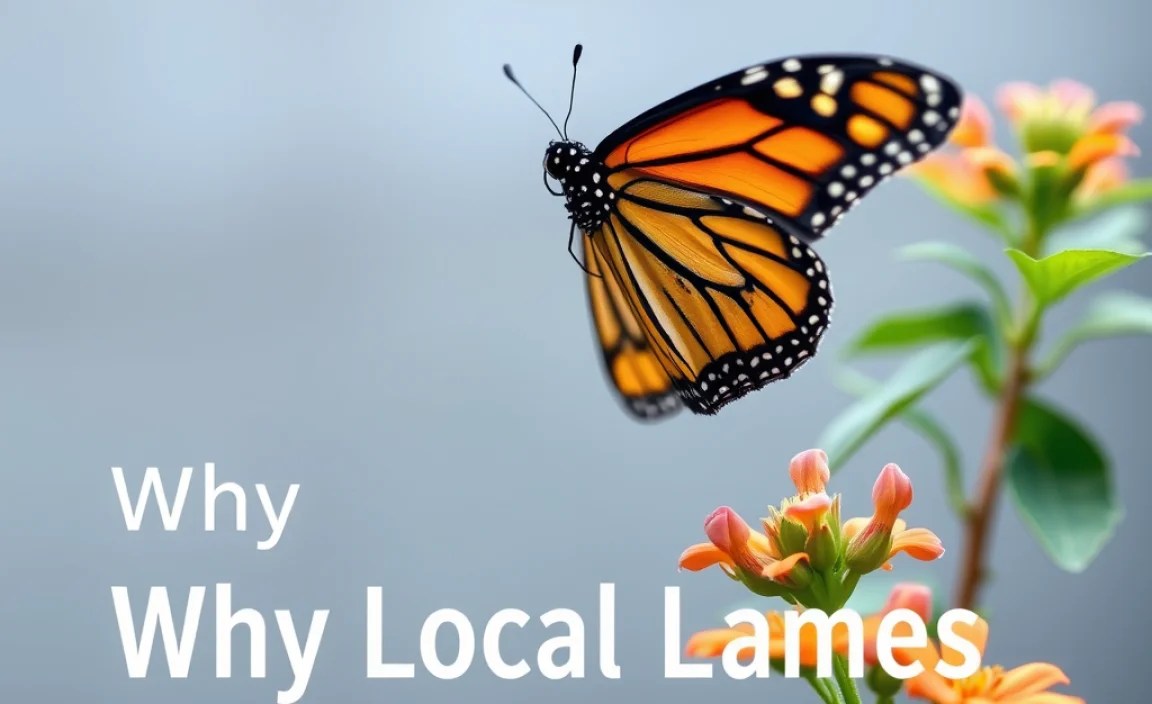 Why Local Names Matter