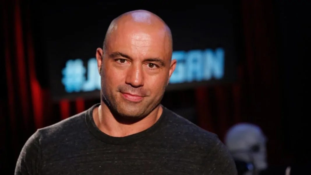 Joe Rogan American Standup Comedian Net Worth 2020 Butterfly Labs
