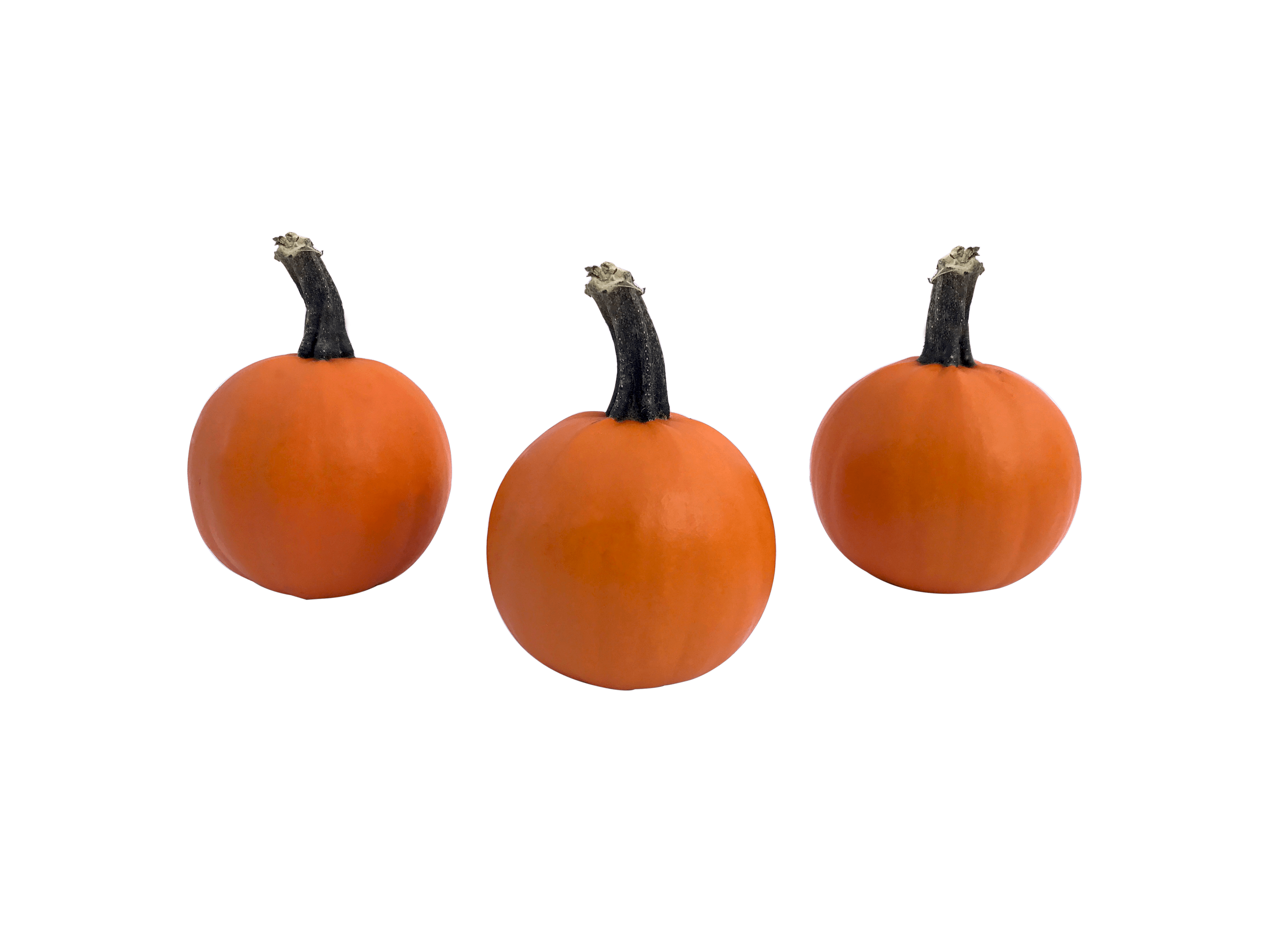 Pumpkins Butters Farms