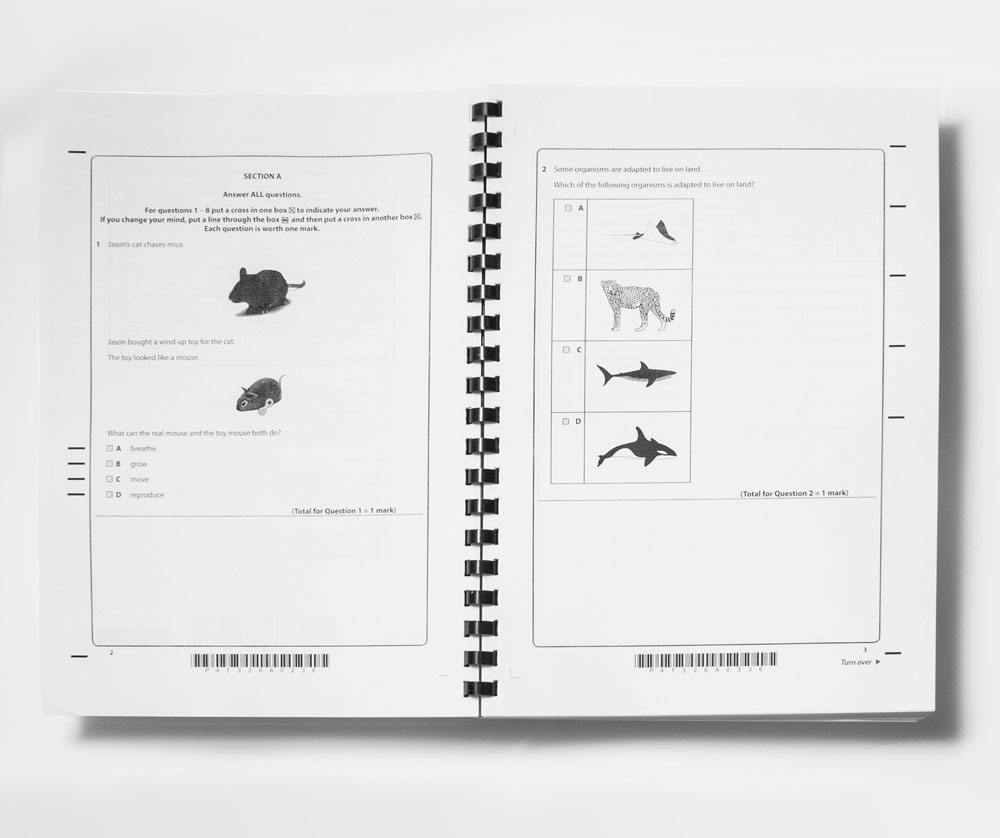 Edexcel Pearson Primary Year 6 Science Past Papers BuukBook