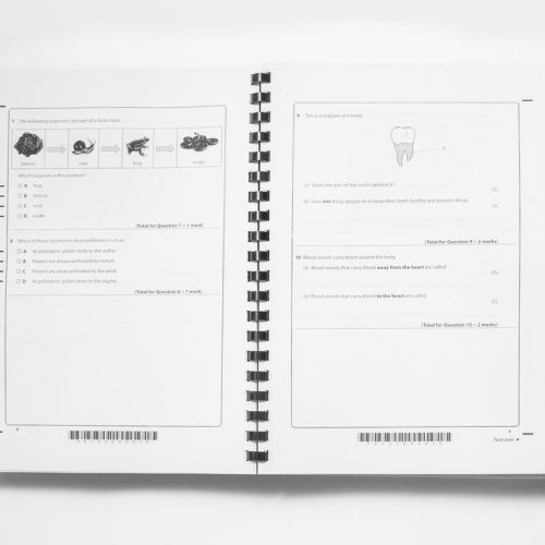 Past papers Past exam papers Pearson qualifications