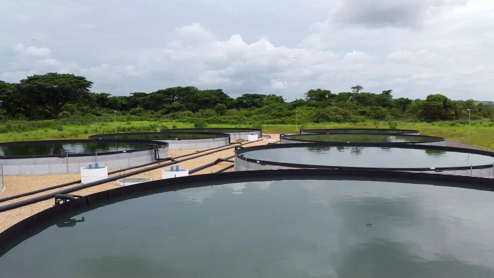 Aquaculture Buwatec