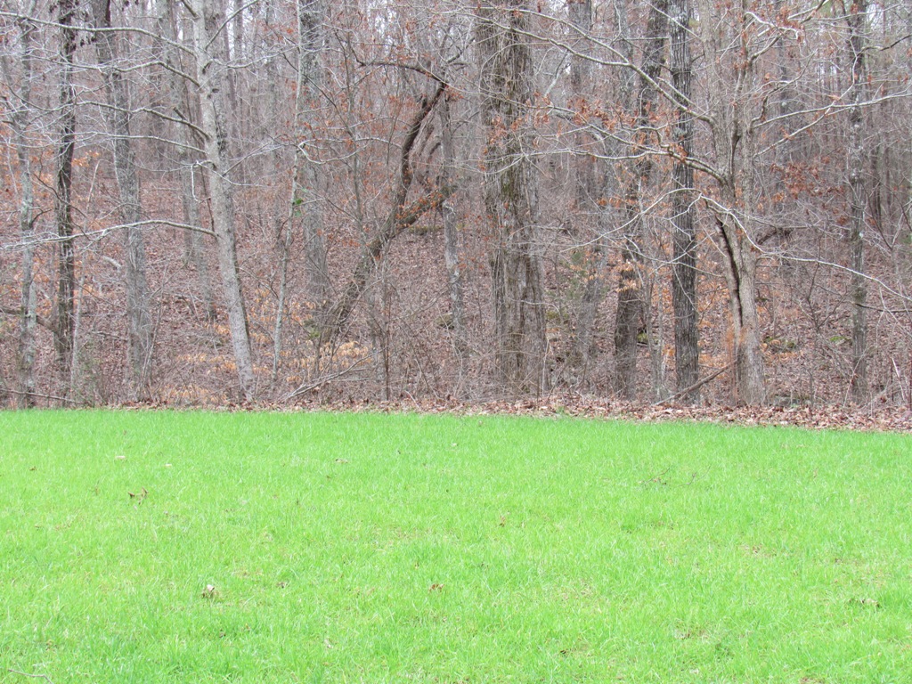 Hunting Land & Timber Investment Land for Sale in St. Clair County AL