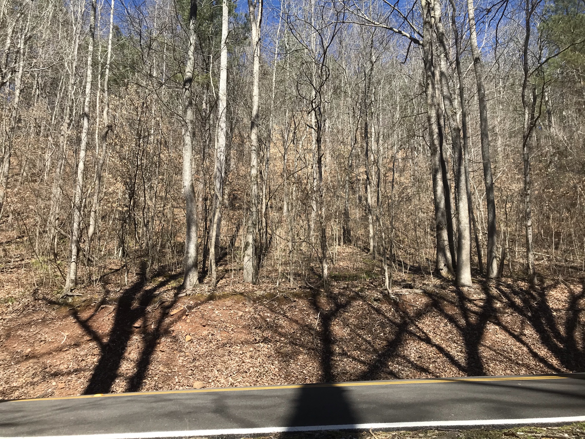 Land for sale in Jefferson County Alabama Land For Sale