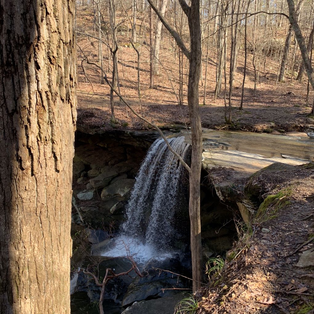 Waterfalls, Waterfalls, Waterfalls Alabama Land For Sale