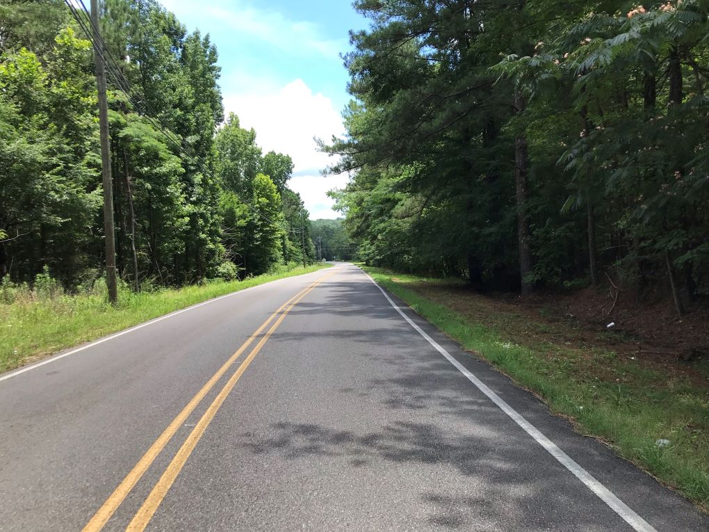 208 acres Coleman Lake Road Alabama Land For Sale