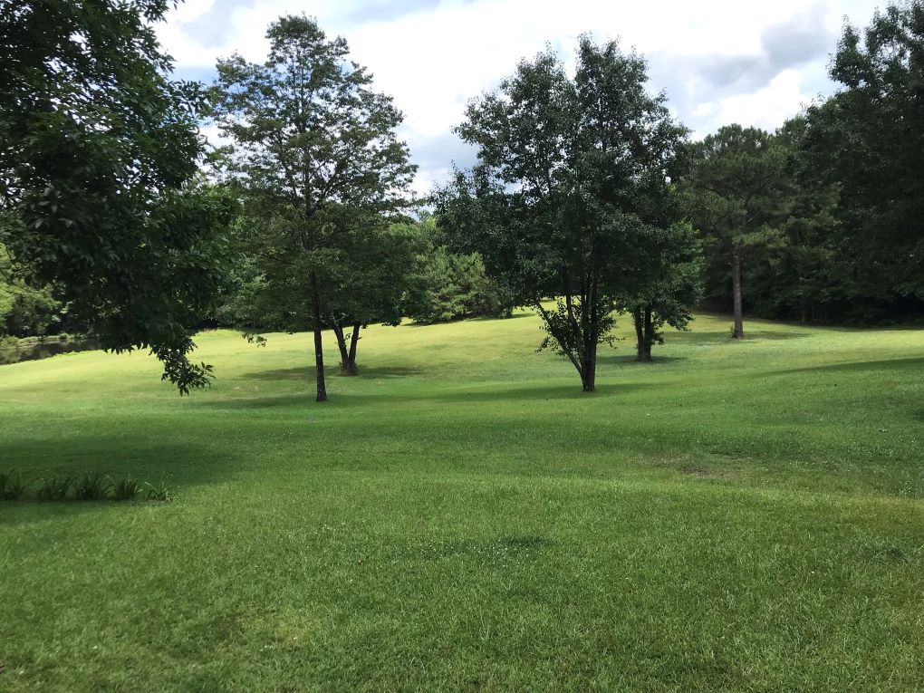 208 acres Coleman Lake Road Alabama Land For Sale
