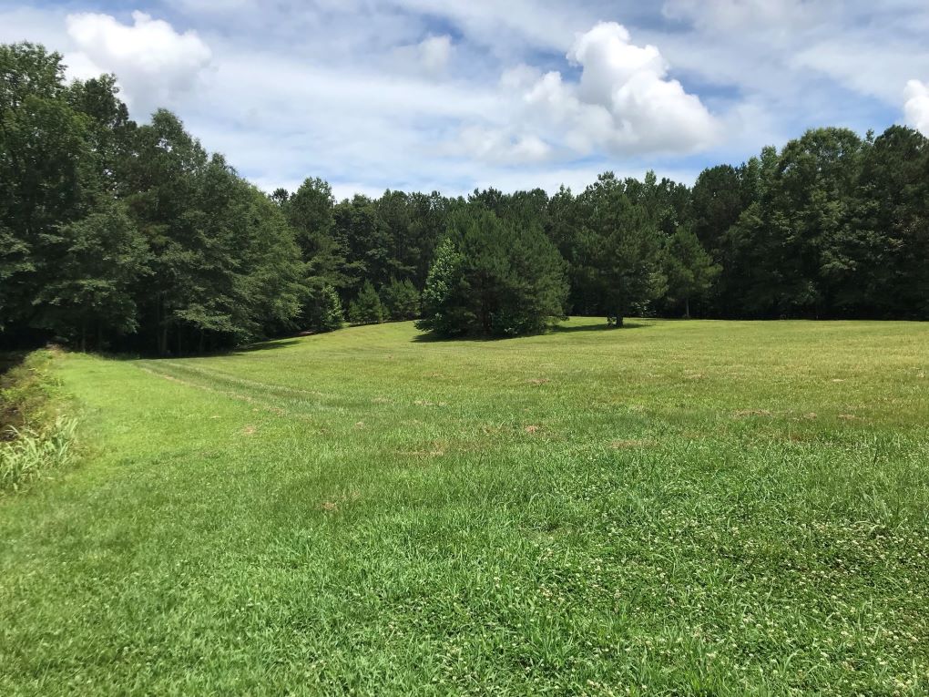 208 acres Coleman Lake Road Alabama Land For Sale