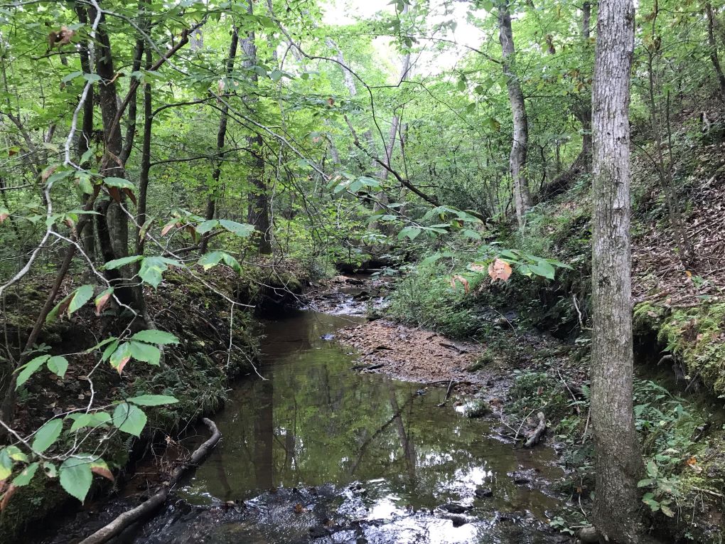 Mill Creek 87ac Hunting Preserve Alabama Land For Sale