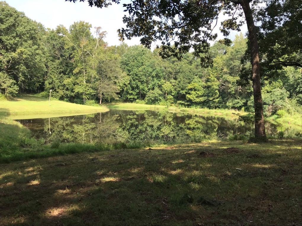 Susan Moore 40 ac Farm Alabama Land For Sale
