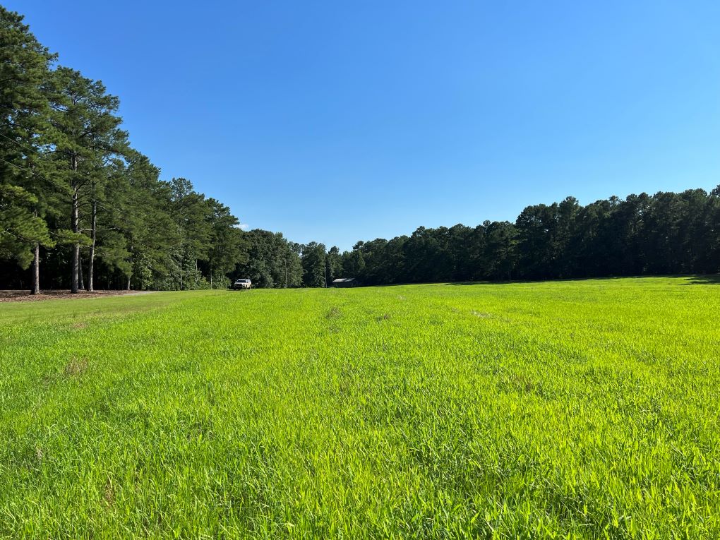 Coosa River & Lay Lake Sanctuary Alabama Land For Sale