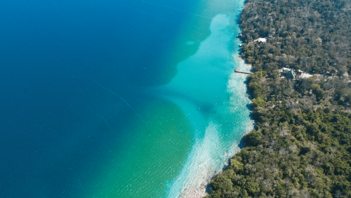 Land for sale in Bacalar MONKEY LOT Buy Bacalar