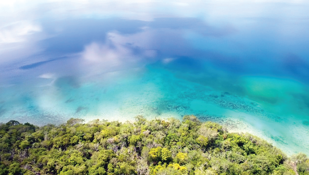 Land for sale in Bacalar MONKEY LOT Buy Bacalar