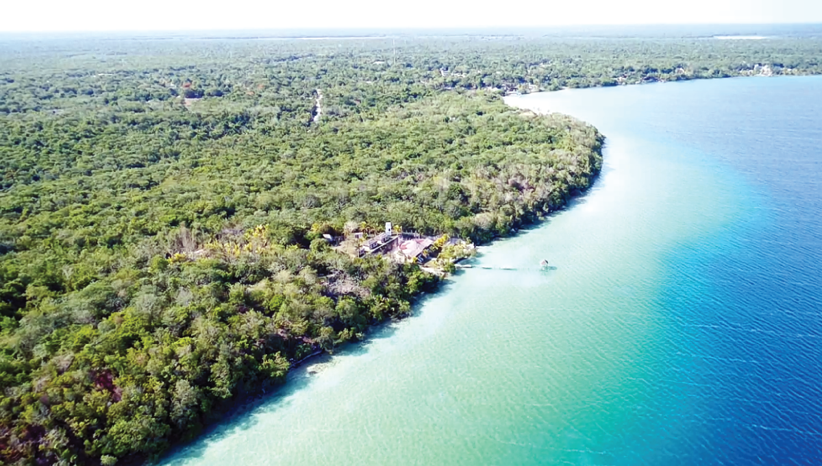 Land for sale in Bacalar MONKEY LOT Buy Bacalar