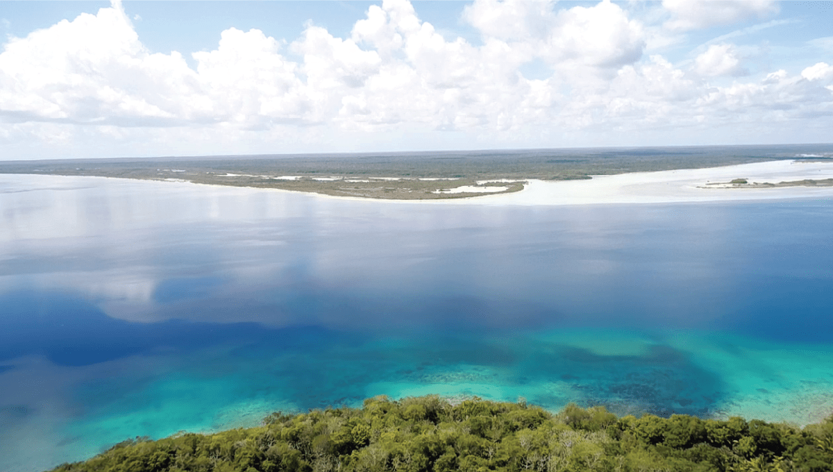 Land for sale in Bacalar MONKEY LOT Buy Bacalar