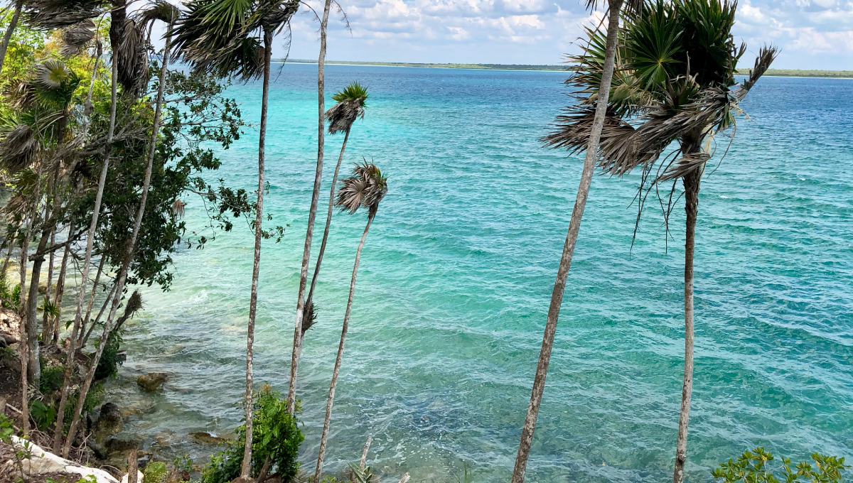 Lot in front of Bacalar lagoon "The Sanctuary" LAKE FRONT BACALAR