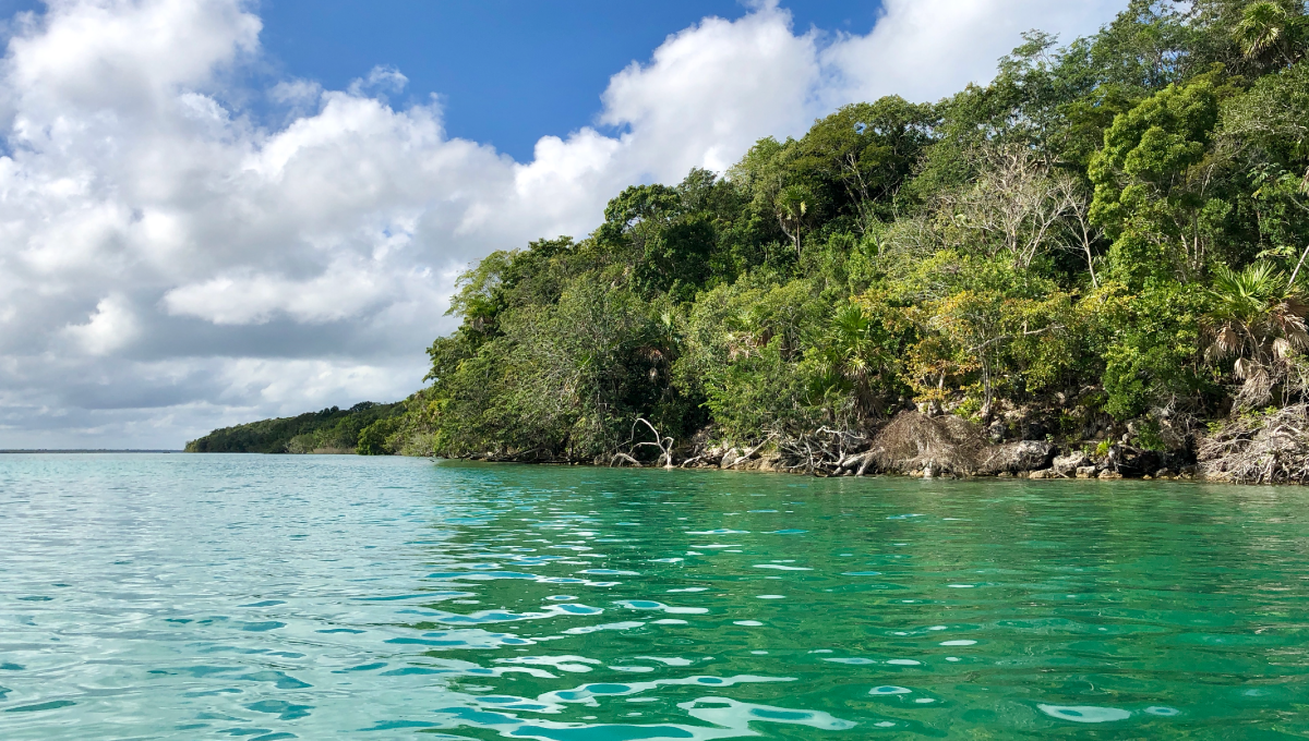 Lot in front of Bacalar lagoon "The Sanctuary" LAKE FRONT BACALAR