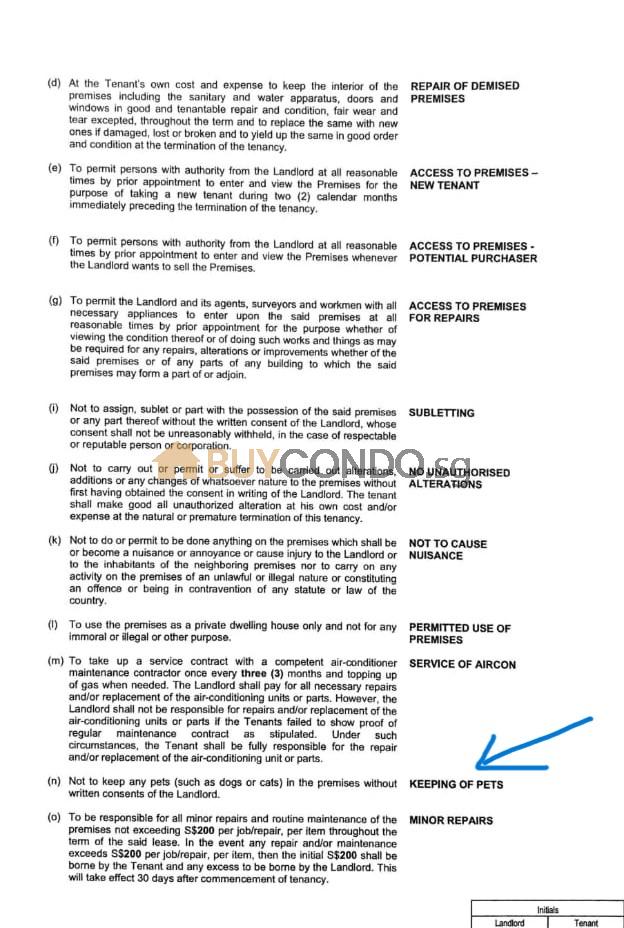 Found Out That Your Tenant Having A Pet Without Consent