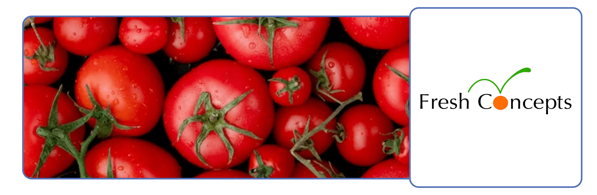 Produce Powerhouse The Buyers Edge Platform Approach to Fresh