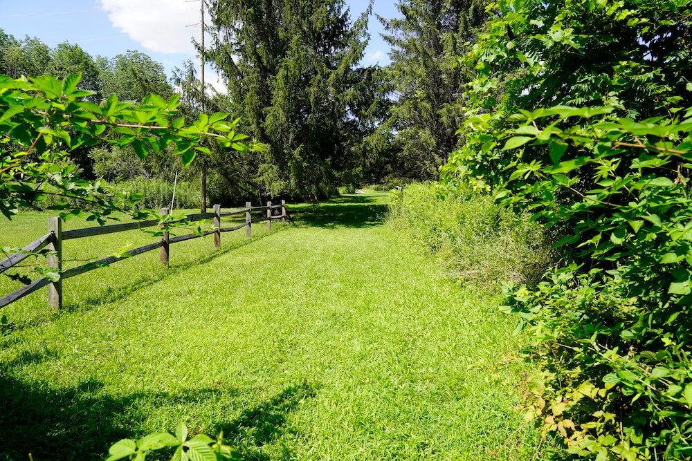 1 Acre Along Susquehanna River Perfect Fishing & Cabin Getaway! Buy