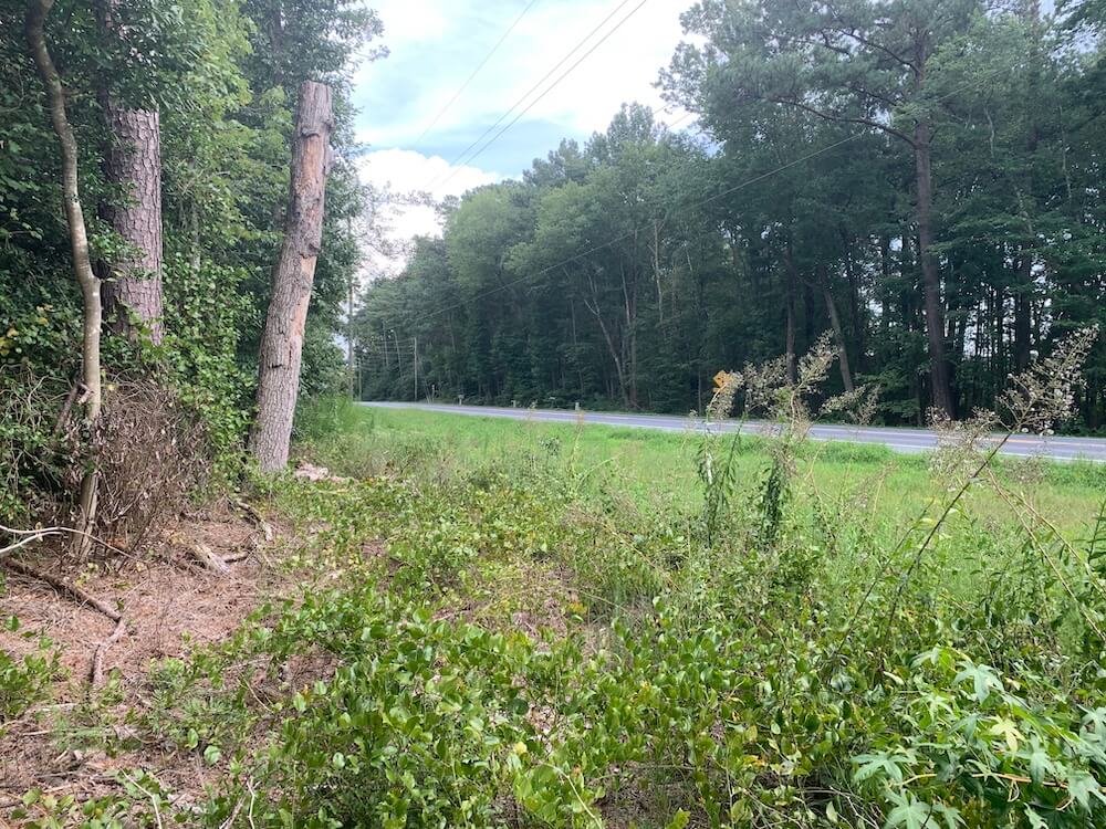 0.92 Acre Wooded Lot in Peaceful, Quiet Sussex County DE Buy Great Land