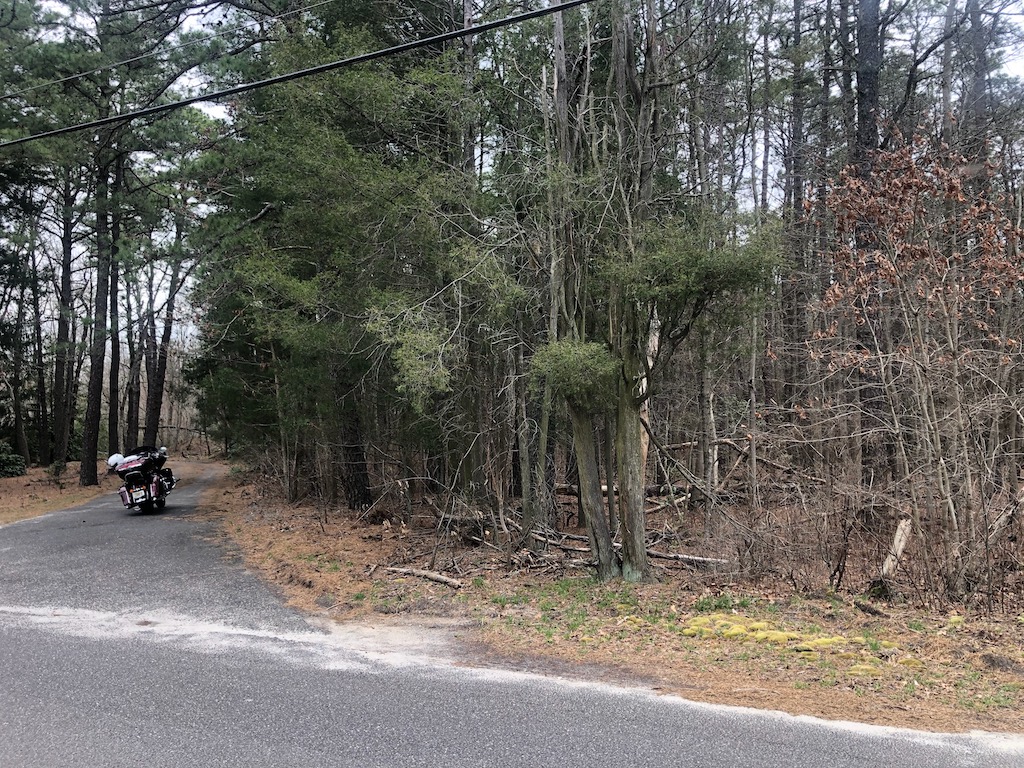 Rare 13 acre property in the Pinelands of New Jersey Buy Great Land