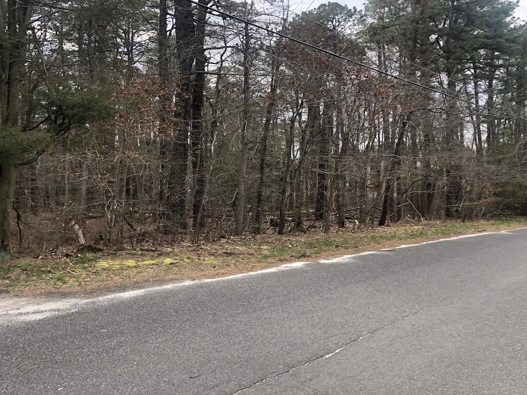 Rare 13 acre property in the Pinelands of New Jersey Buy Great Land