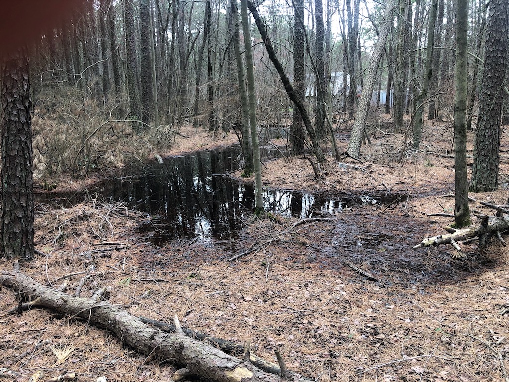 Rare 13 acre property in the Pinelands of New Jersey Buy Great Land