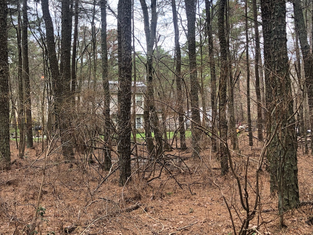 Rare 13 acre property in the Pinelands of New Jersey Buy Great Land