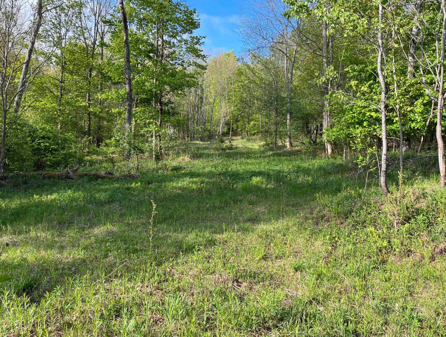 24 acre Hunting and Recreational Property in Humphrey NY, Cattaraugus