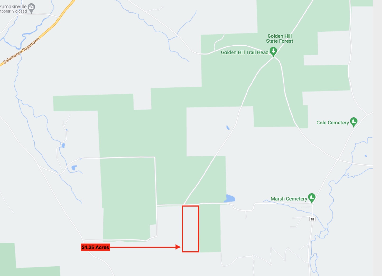 24 acre Hunting and Recreational Property in Humphrey NY, Cattaraugus