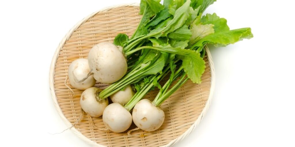 9 Best Parsnip Substitute in Cooking