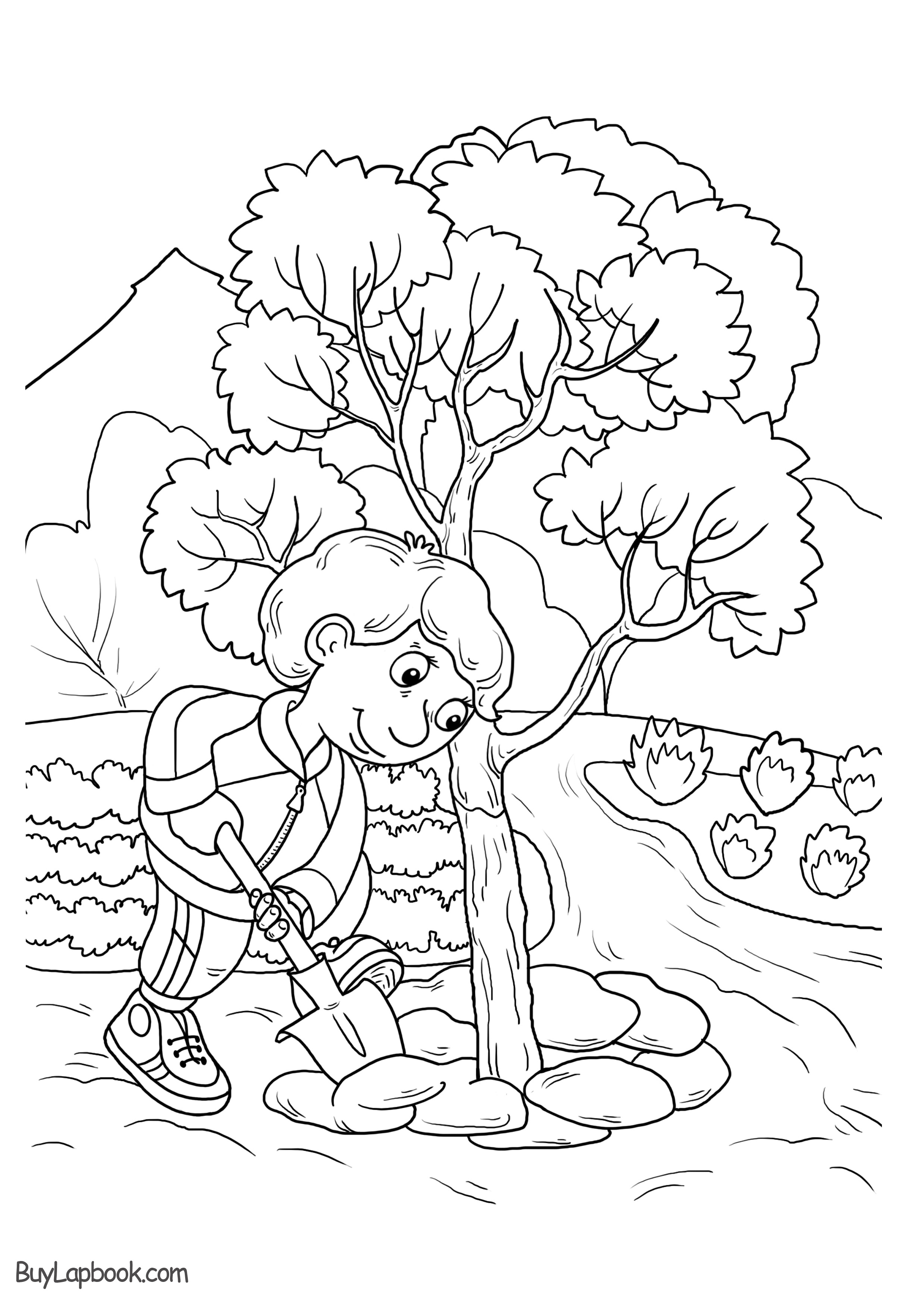 An Apple Tree Life Cycle Free Printable Resources BuyLapbook