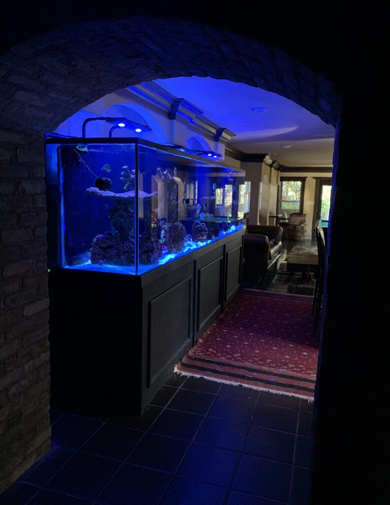 Our New Partner, Pet Central! Buy Local Bowling Green