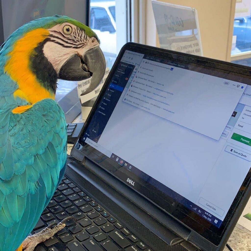 Our New Partner, Pet Central! Buy Local Bowling Green