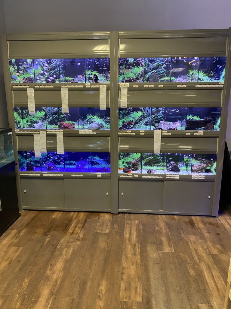 Our New Partner, Pet Central! Buy Local Bowling Green