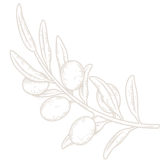 Millport Farmers Market Buy Local Food Alabama