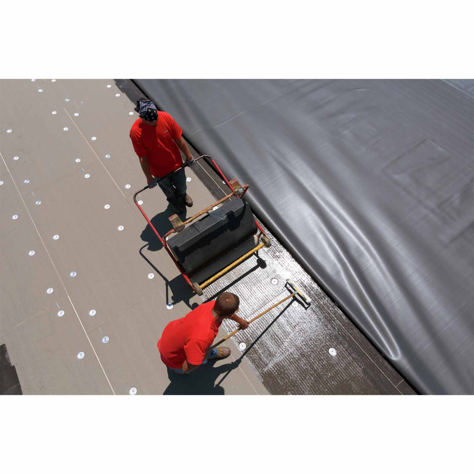 TruFast PreAssembled DP Phillips Fastener and Plate 250 Pack from