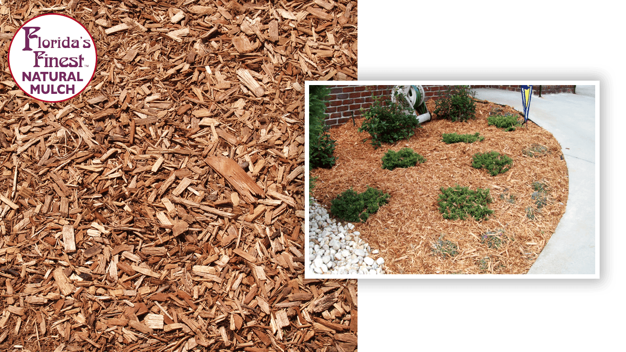 Florida’s Finest Natural Mulch ™ (70 bags) Buy Mulch Direct