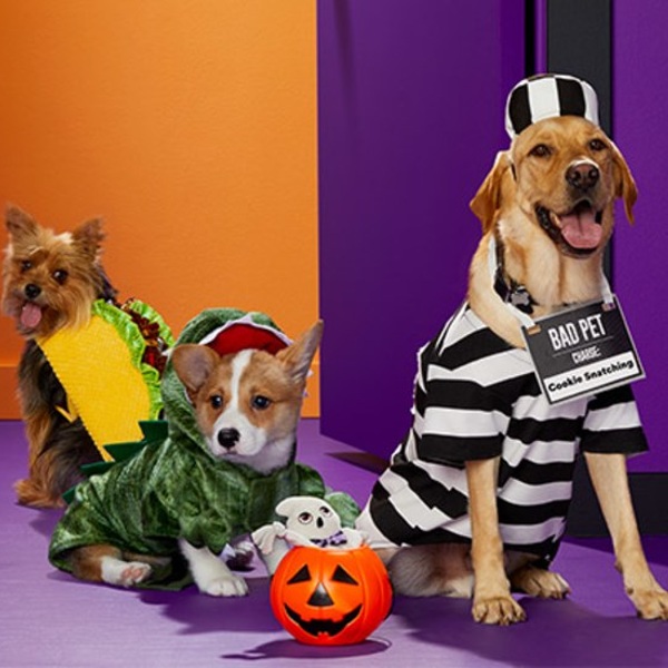 Petco Buy Now Pay Later Stores