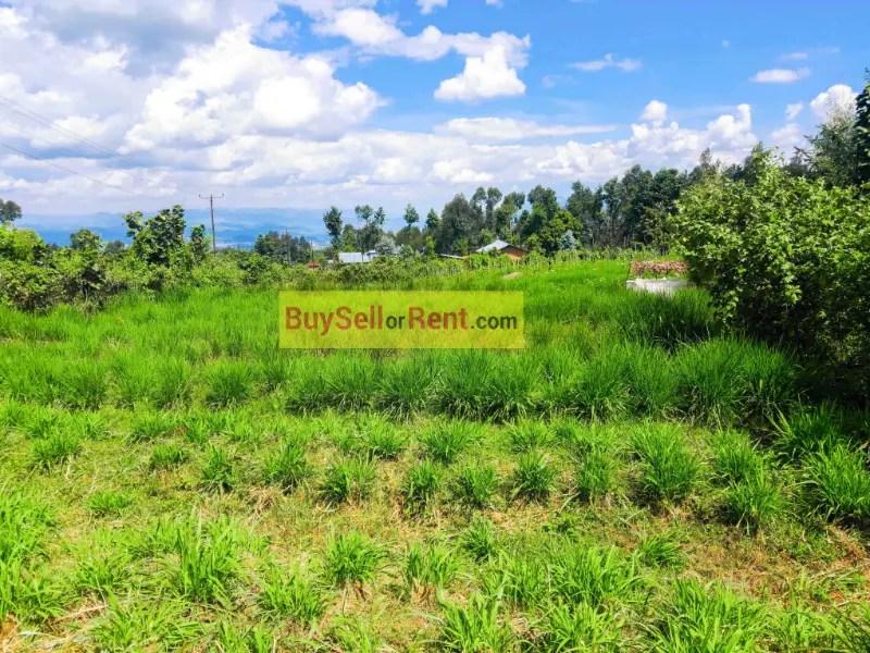 Musanze, Nyange, Kabeza, Kansoro buy sell or rent