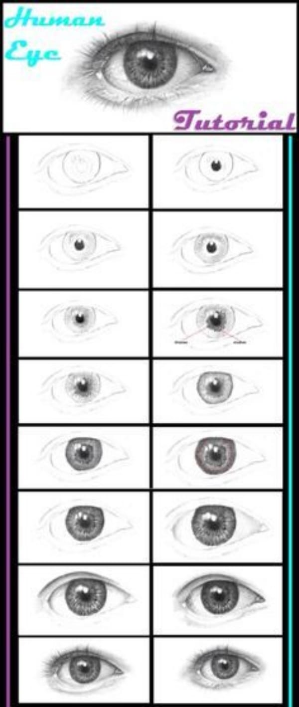 How to Draw an Eye (Step by Step Pictures Guides)