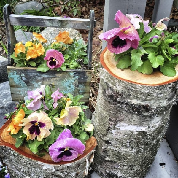 40 Innovative Plant Pots ideas