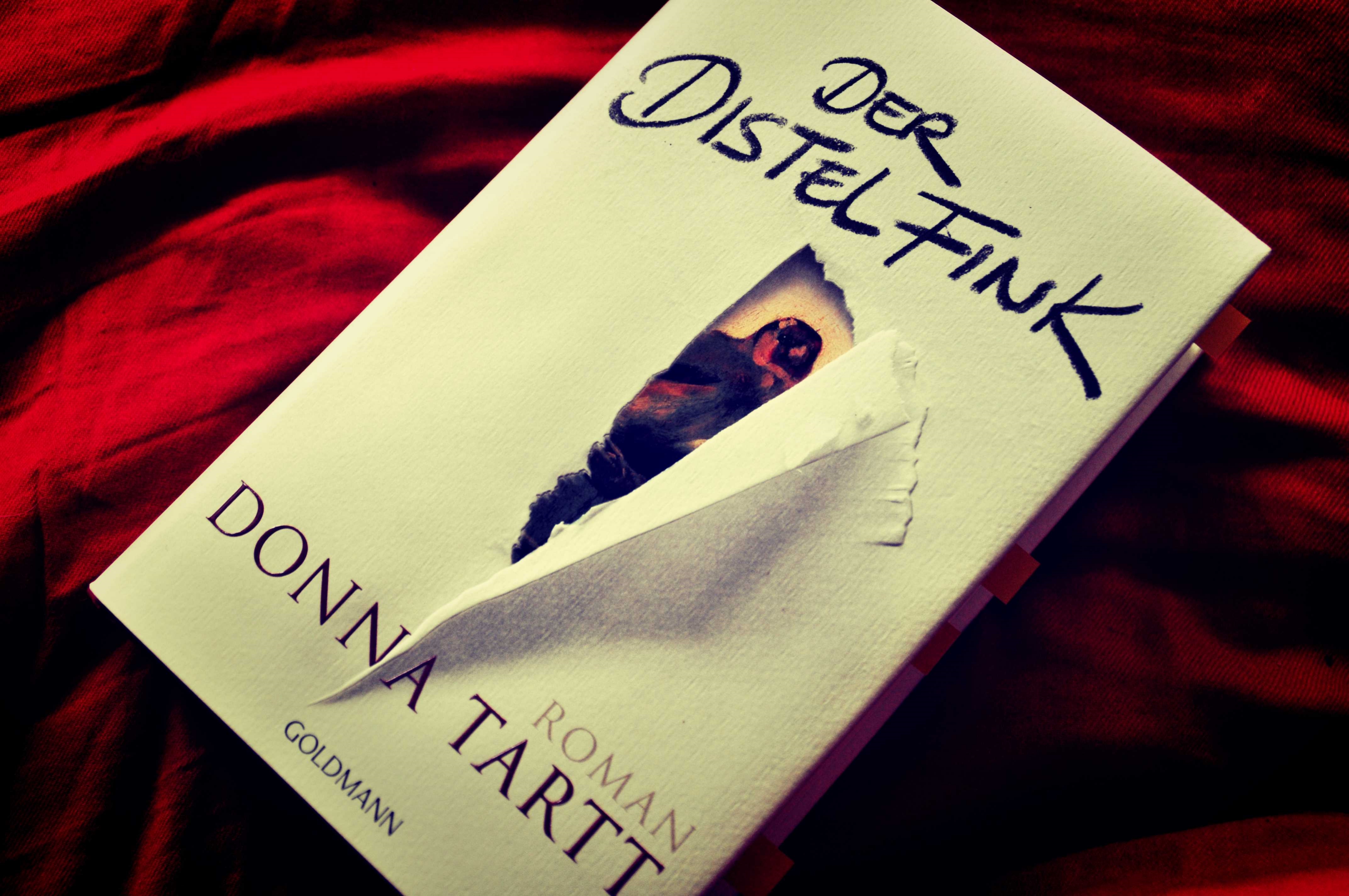 Der Distelfink Donna Tartt Buzzaldrins Bücher