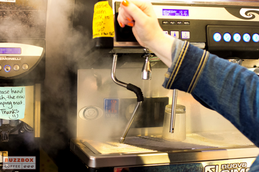 Brew Guide Steaming Milk BuzzBox Coffee