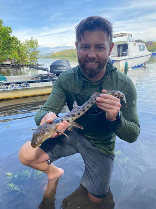Extremely rare "walking sharks" found in Papua New Guinea Buzzer