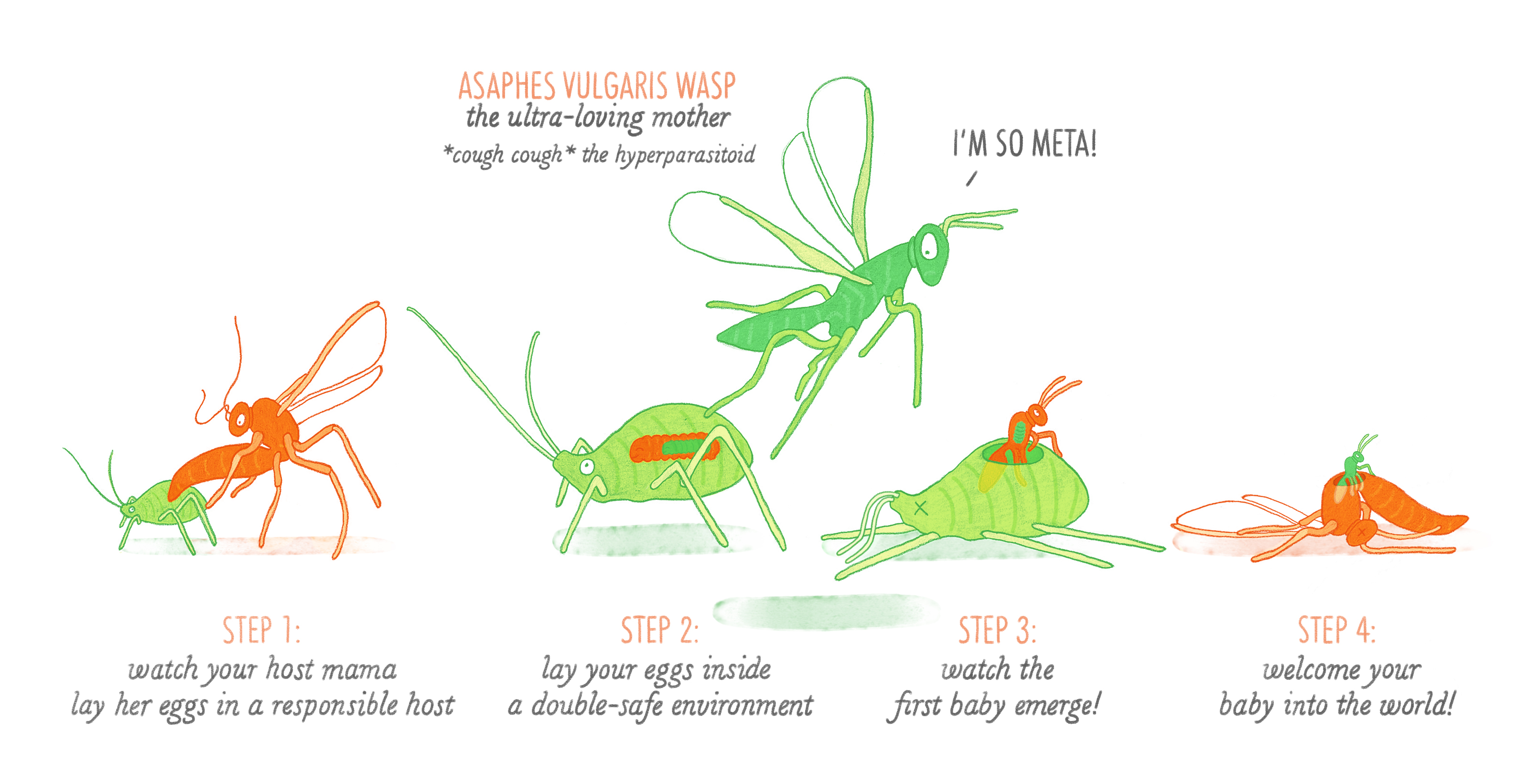 Buzz Hoot Roar Things that get under your skin Parasitoids