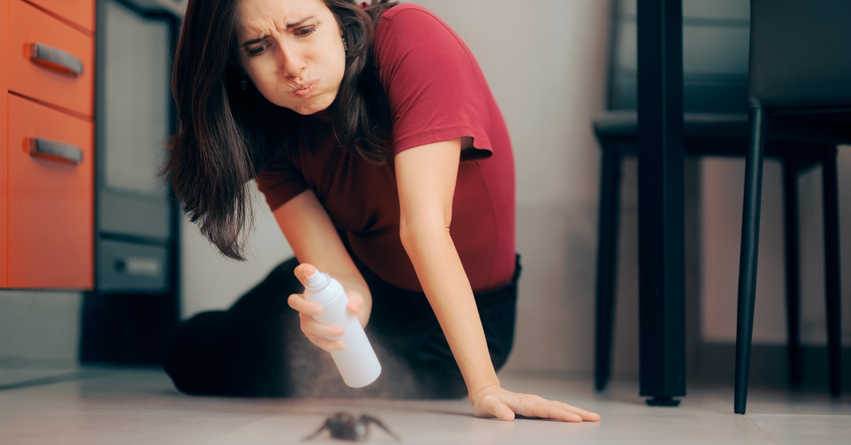 Spider Pest Control Fort Worth TX Buzz Kill Pest Control