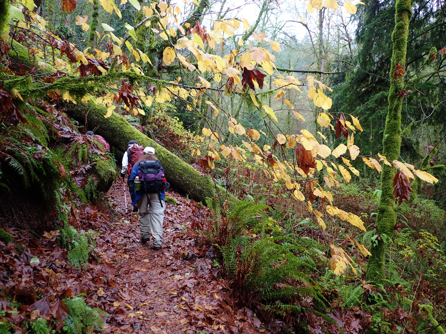 The Best 5 Cities To Live In The Us For Outdoor Activities BuzzNonStop