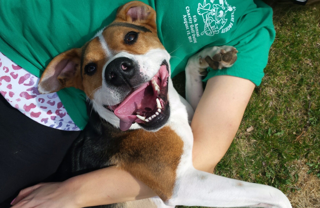 Duncan The Rescue Pittsburgh Buzz